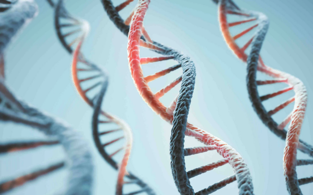 GHGA-Datenportal: Eine nationale Plattform für sichere Genomdaten