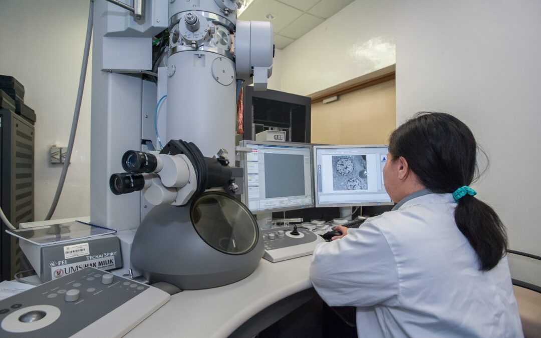 Symbolbild Mikroskop