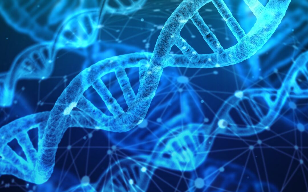 GHGA-Datenportal: Eine nationale Plattform für sichere Genomdaten